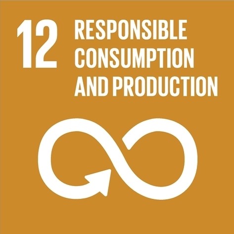SDG 12