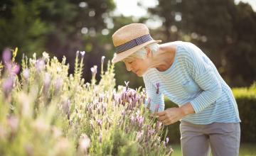 Athora publishes its 2025 interim results